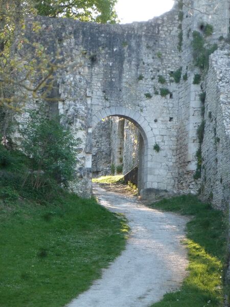 Le Provinois à vélo