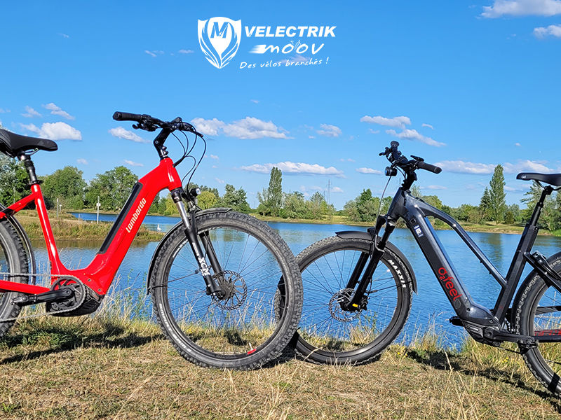 Velectrik Moov