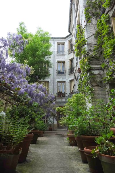 La Cour des Glycines