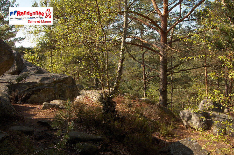 Le Tour du Massif de Fontainebleau (TMF)