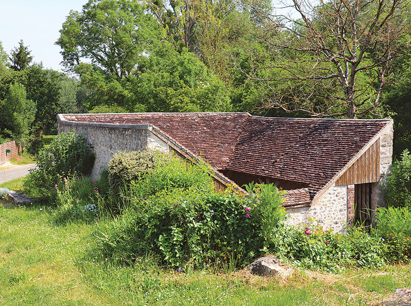 Le bois de Sigy