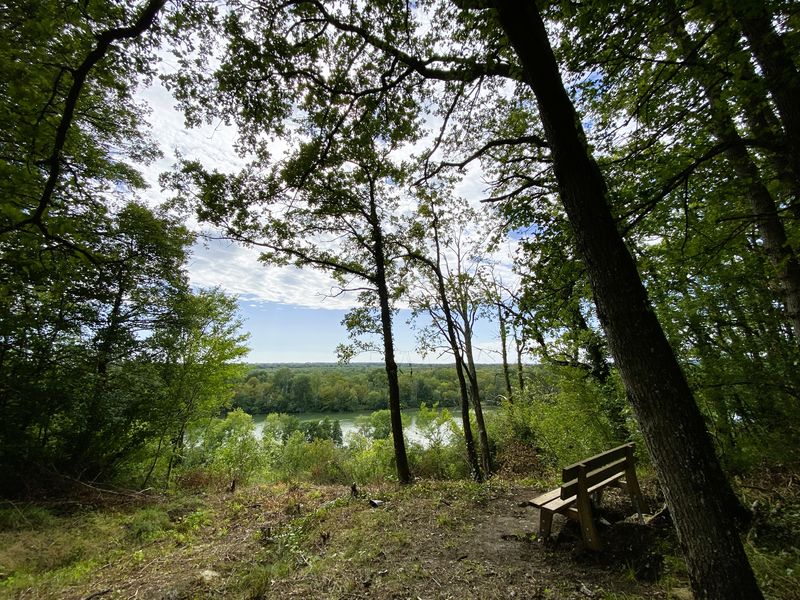 La Forêt de Barbeau