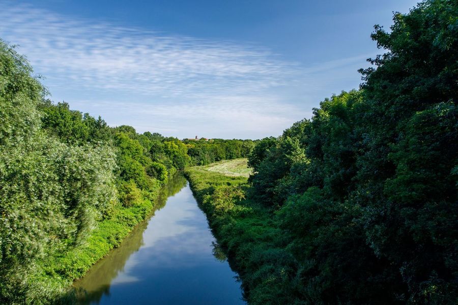 Espace Naturel Sensible : Le Chemin Des Roses