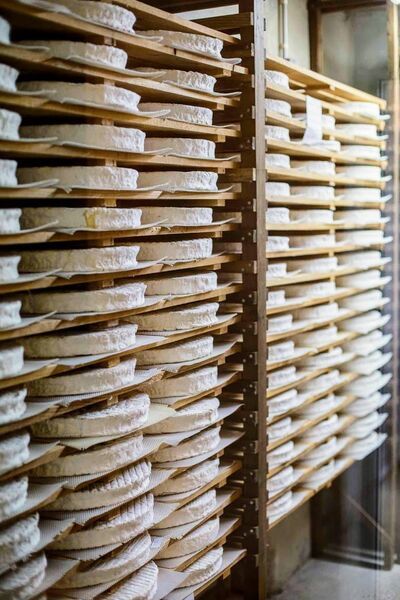 Visite guidée de la Fromagerie Ganot