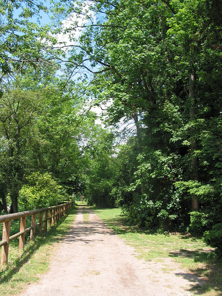 Parc Denis Le Camus