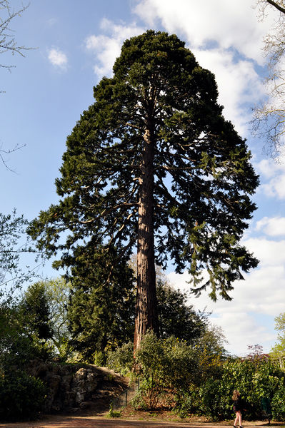 Parc des Charmettes