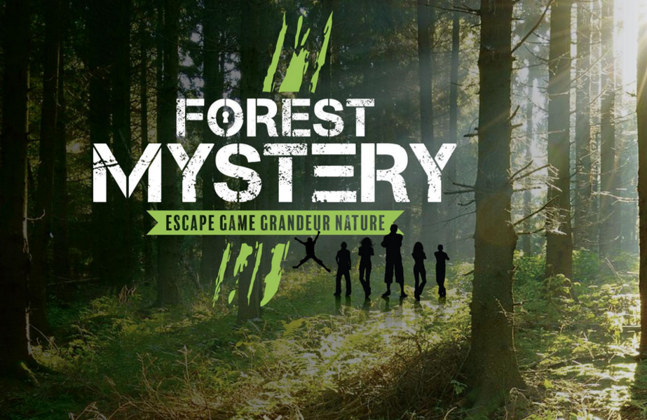 Escape game: Forest Mystery