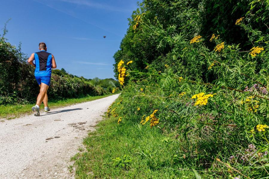 Le Chemin des Roses à vélo