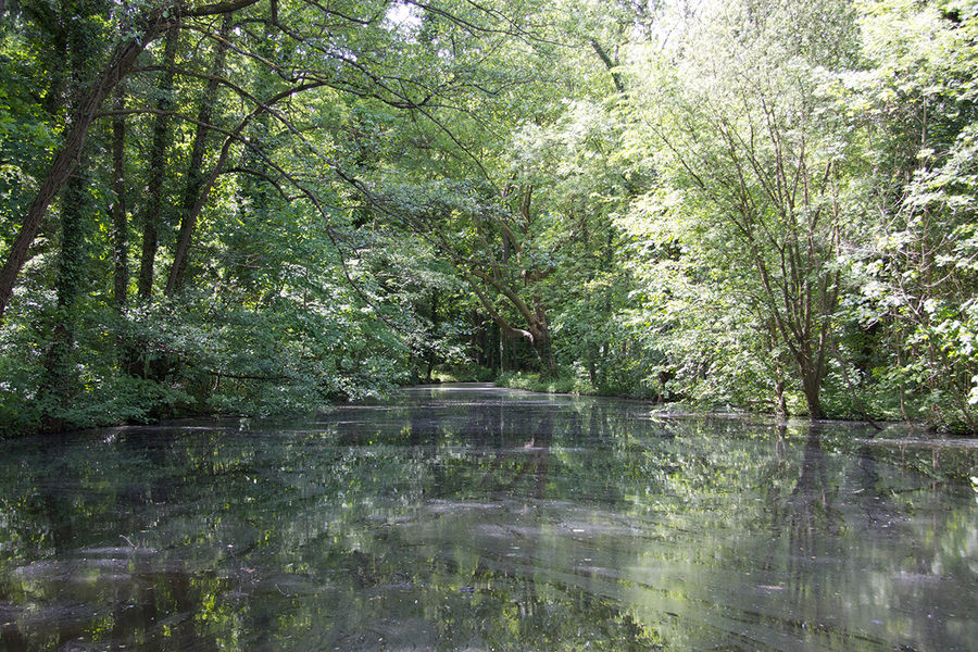 Parc de Noisiel