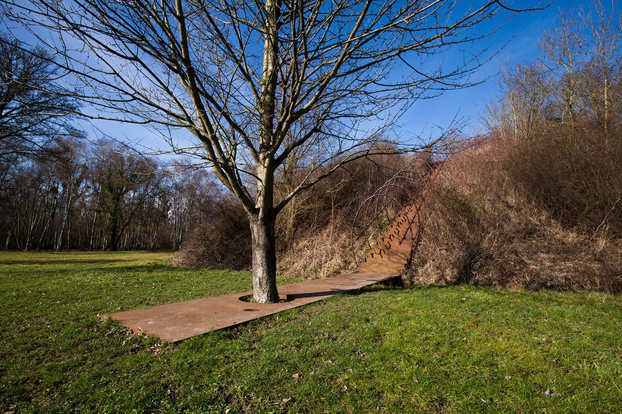 Bois de Célie