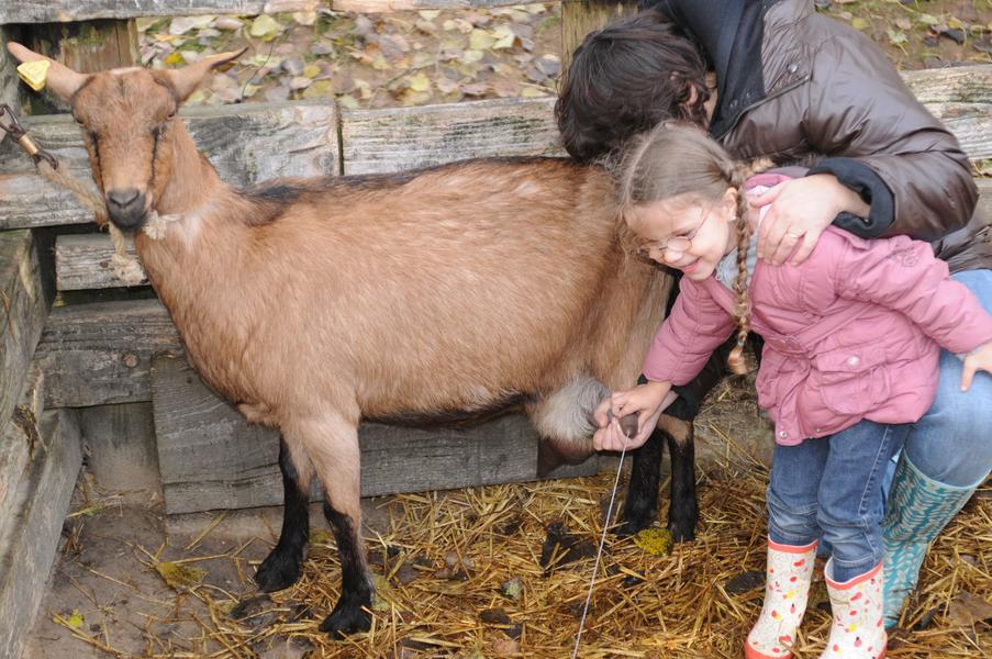 Ferme pédagogique de St-Hilliers