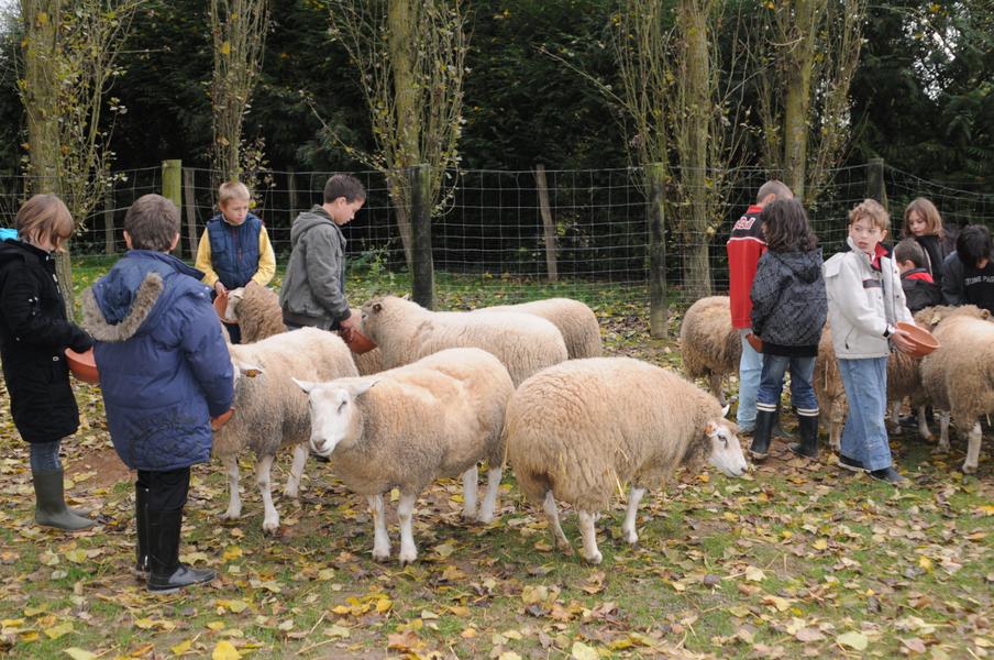 Ferme pédagogique de St-Hilliers