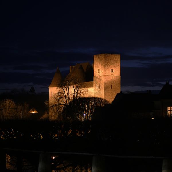 Château Musée de Nemours