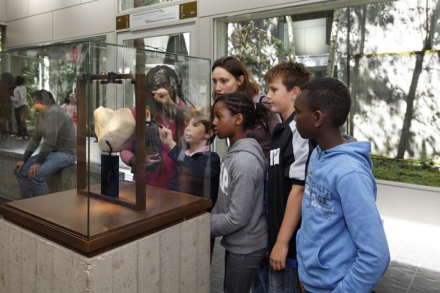 Musée de Préhistoire d'Île-de-France