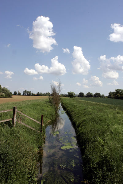 Espace naturel du Ru des Hauldres