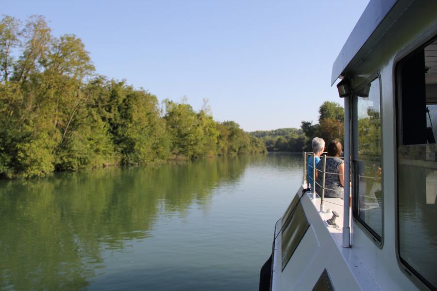 Croisière  - Secrets du Miel et des Abeilles