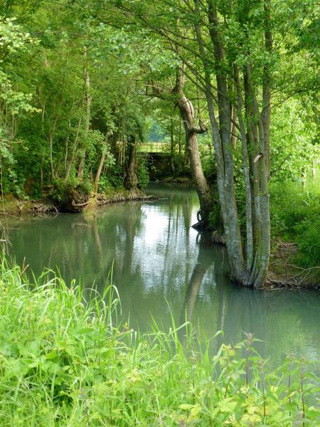 La Voie du Morin