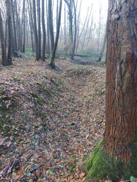 Forêt régionale de Montgé : La tranchée de 1915