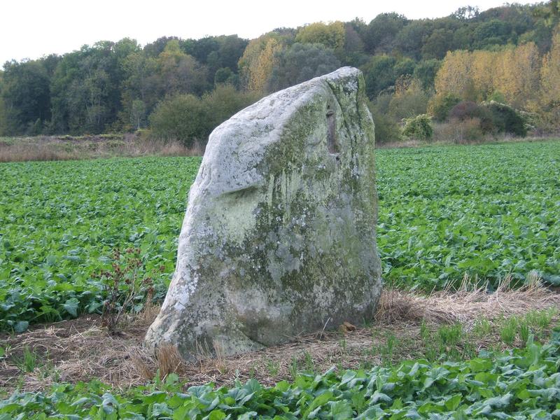 De Verneuil-l'Étang à Mormant (De l'Yerres au ru d'Avon)