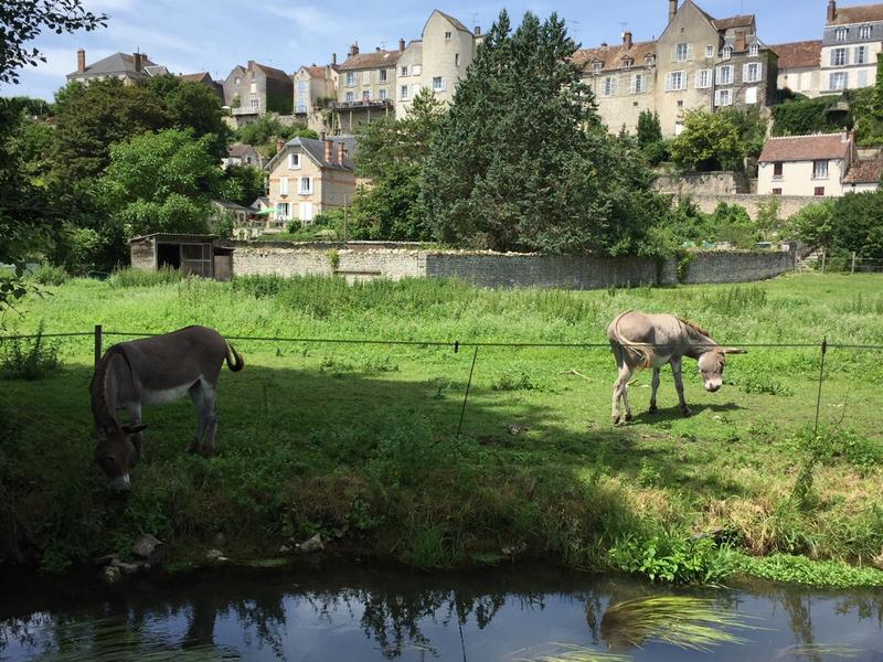 La Tour (Remparts)