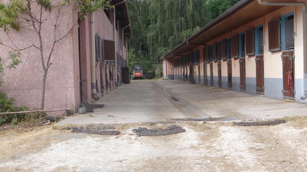 Haras du Croc Marin