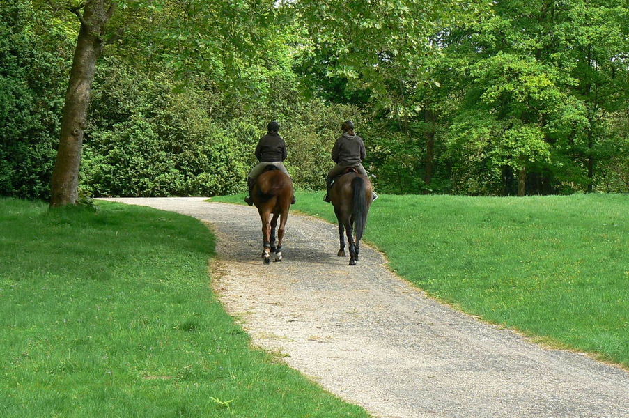 En forêt régionale de Ferrières