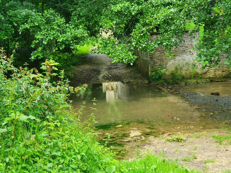 le Gîte du Bambou Bleu