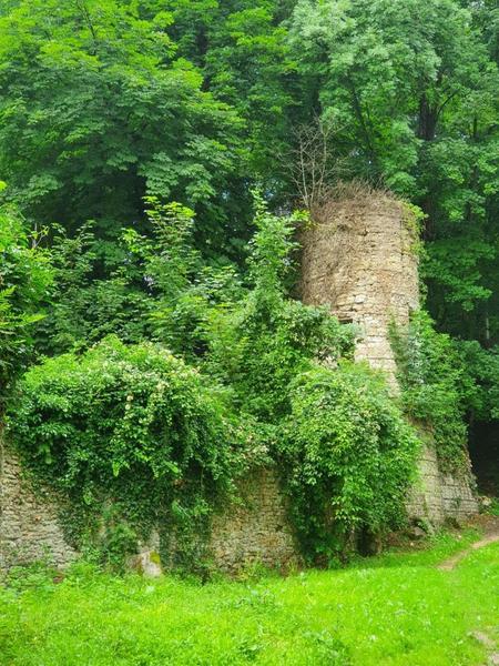 le Gîte du Bambou Bleu