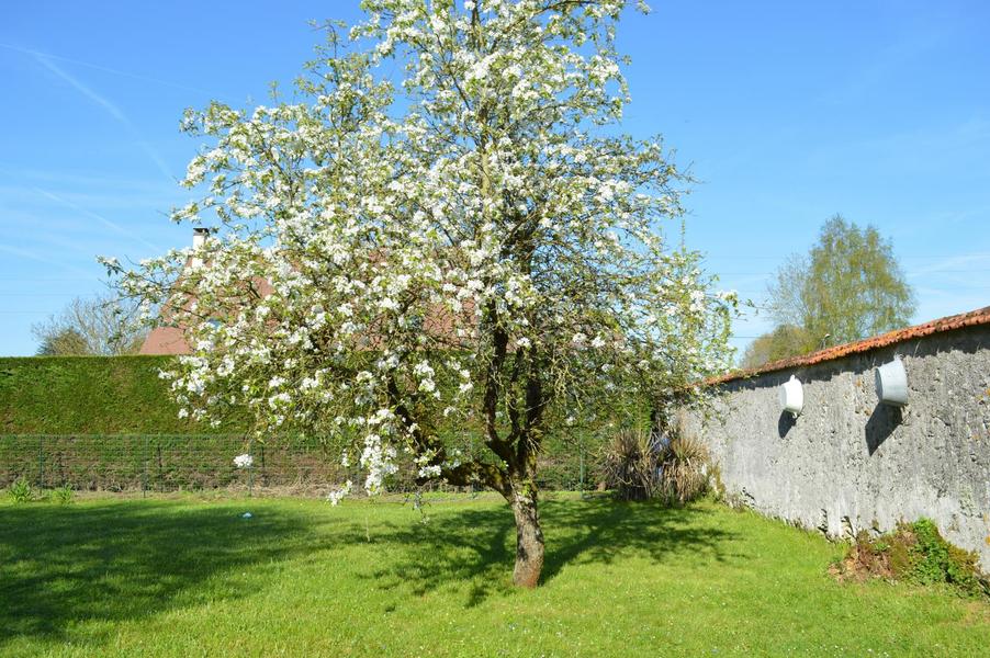 L'Atelier des Moteurs