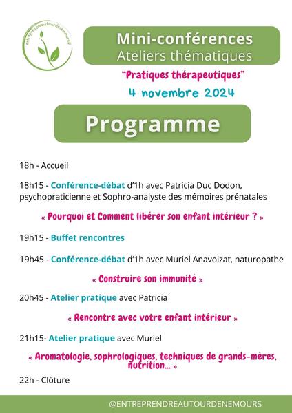 Mini-conférences 