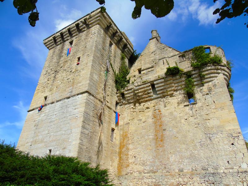 Visite guidée du donjon du Houssoy