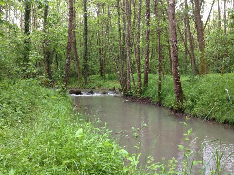 La Fontaine du Dy 1