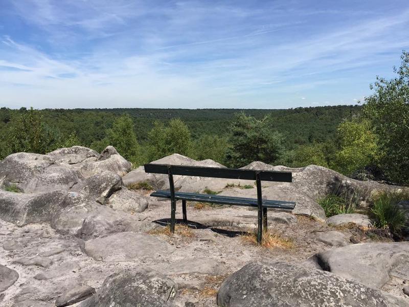 La Martinière Ury - Fontainebleau - Climbing