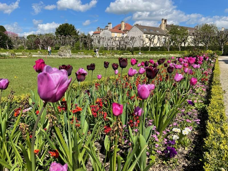 Jardin Bossuet