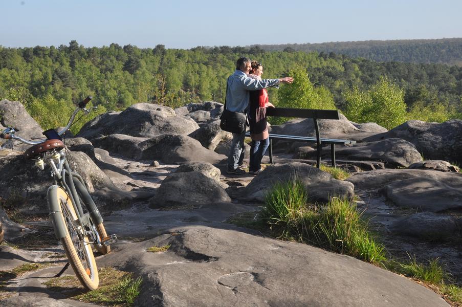 Forêt Domaniale de Fontainebleau