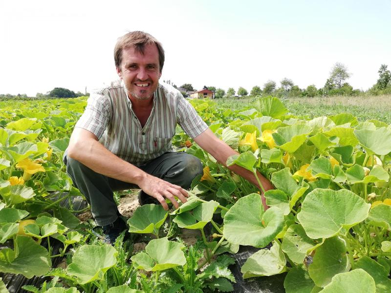 Gite du Potager à la Ferme Chaillotine