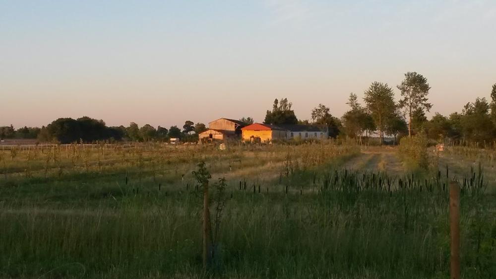 Gite du Potager à la Ferme Chaillotine