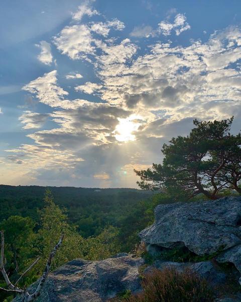 La Martinière Ury - Fontainebleau - Climbing