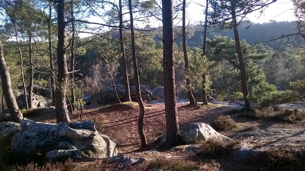 Gîte des Sources