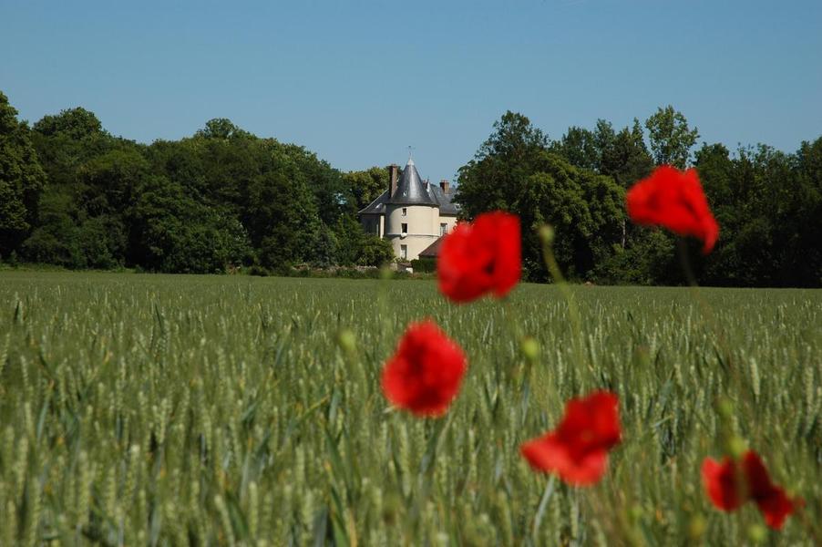 Château de Courtry - Entrée de droite