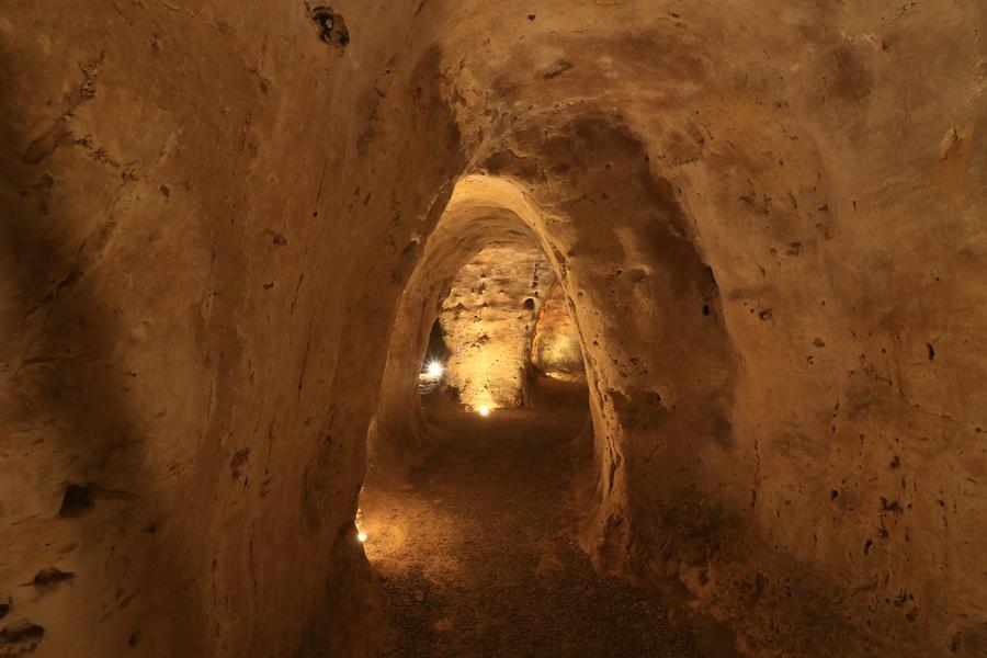 Les visites guidées de Provins à la demande