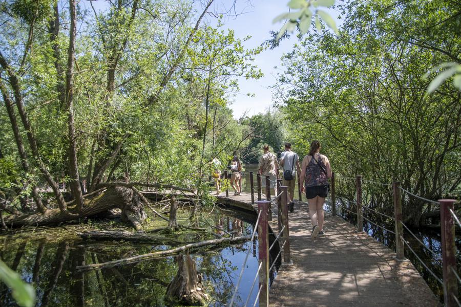 Parc naturel du Pâtis