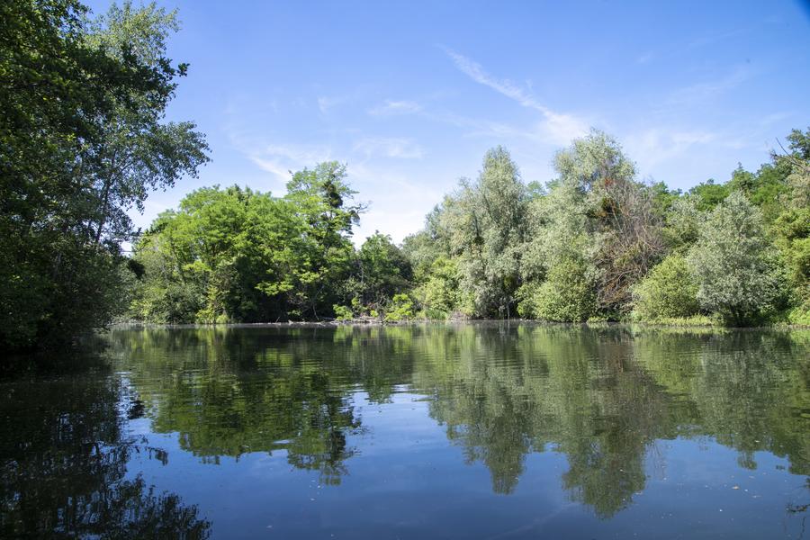 Parc naturel du Pâtis