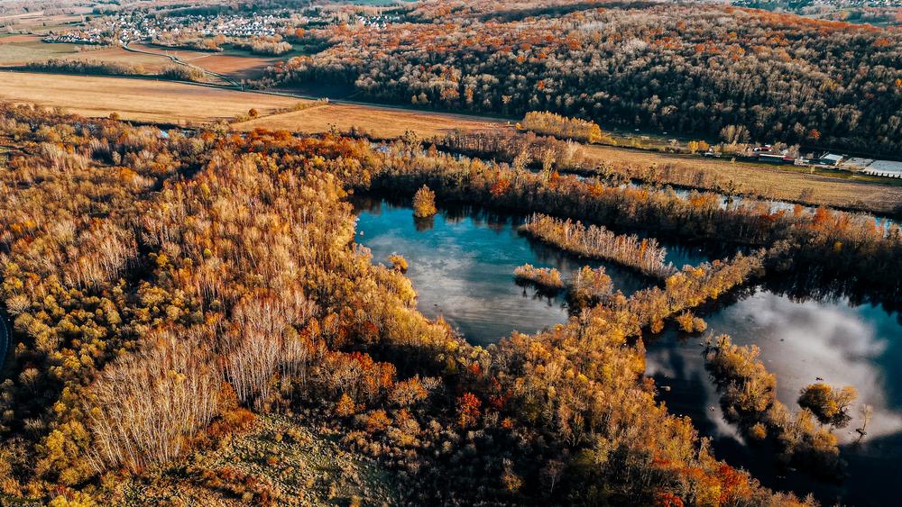 Parc naturel du Pâtis