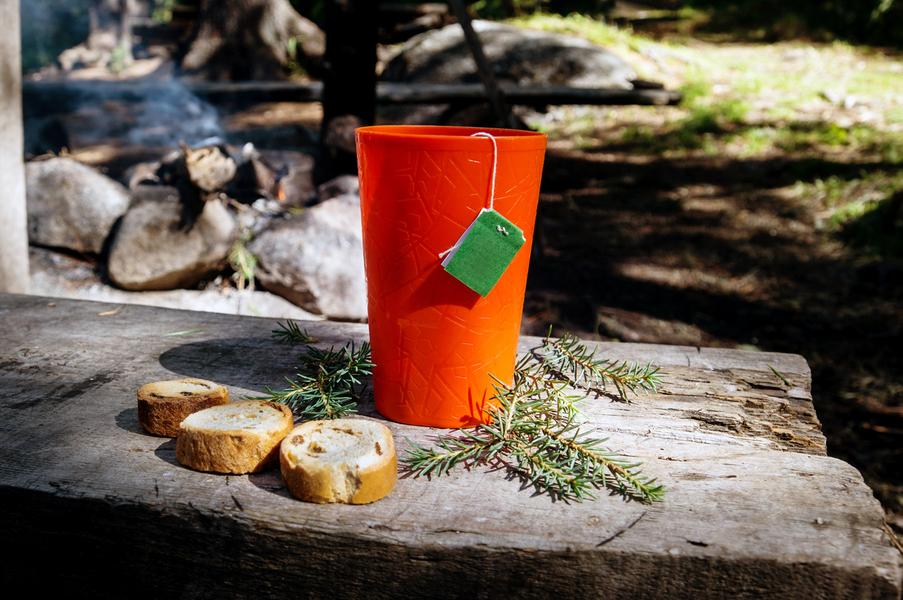 Balade à la découverte du Yoga et de la Forêt de Fontainebleau