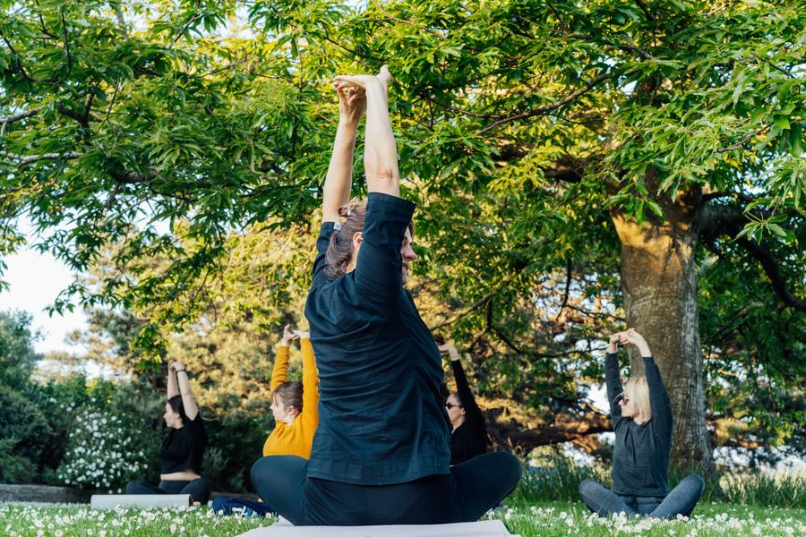 Balade à la découverte du Yoga et de la Forêt de Fontainebleau