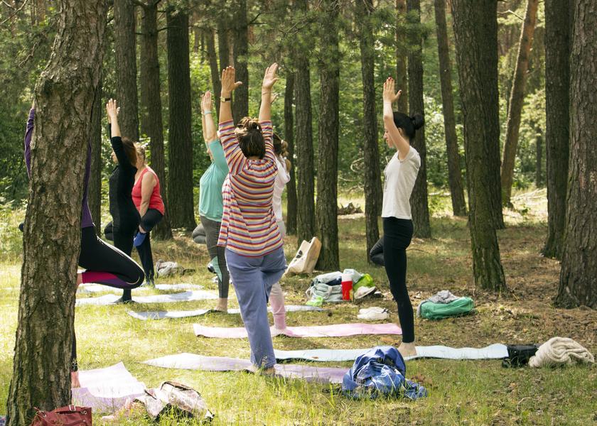 Balade à la découverte du Yoga et de la Forêt de Fontainebleau