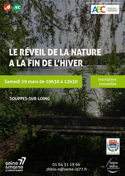 Le réveil de la nature à la fin de l'hiver