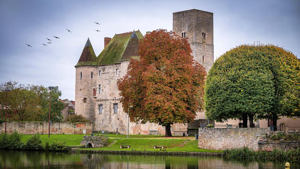 Château Musée de Nemours