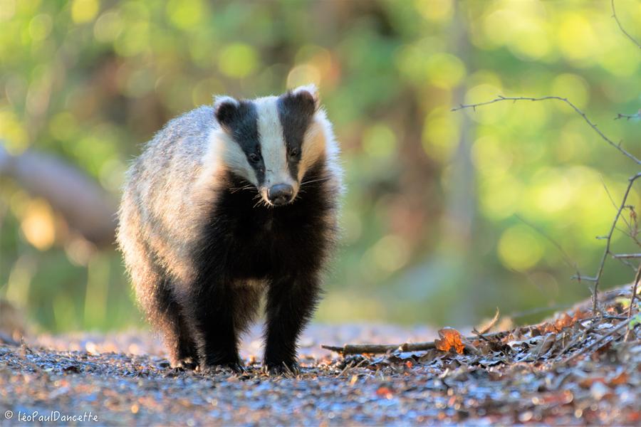 La Réserve Naturelle Nationale de la Bassée